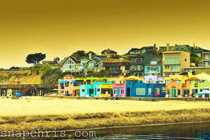 仓储管理平台的网站攻击器